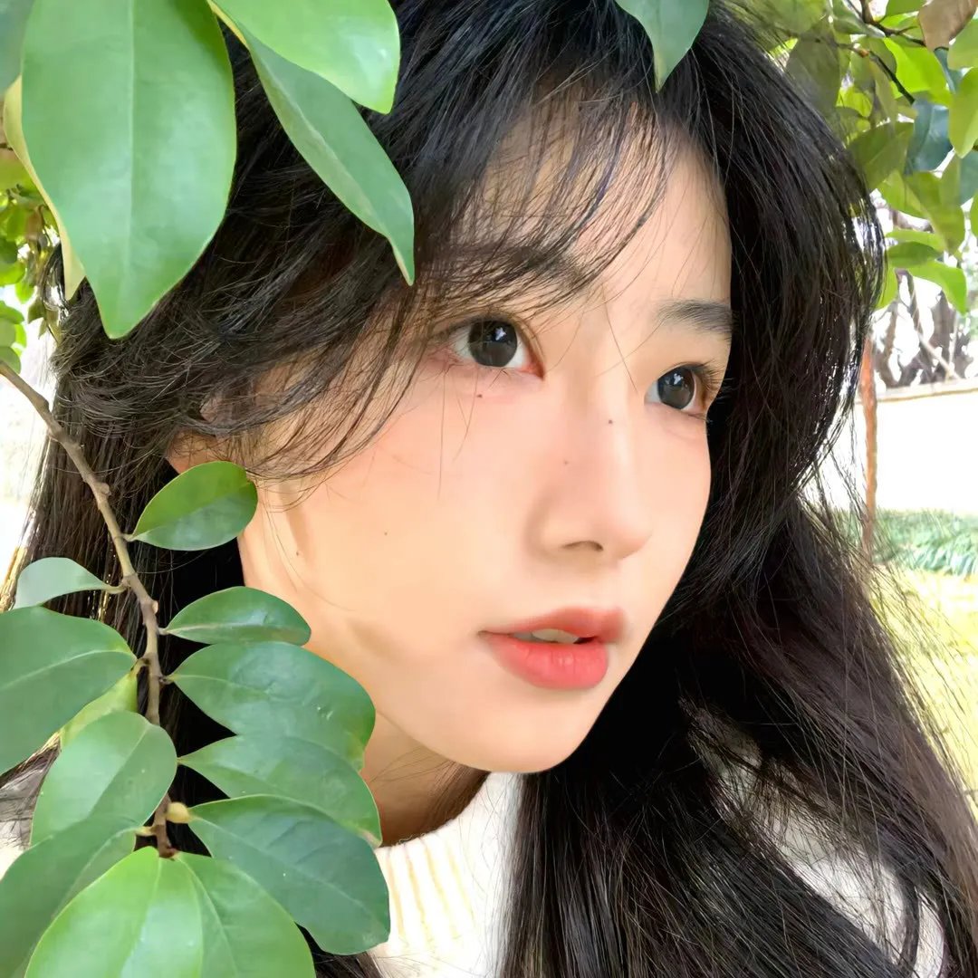 皇帝出京